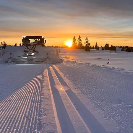 Golsfjellet - Bualie, Milevis Med Sykkelveier, Fiske Og Vannaktivitet, Inn/ut Til Alpinanlegg Og Langrennsloyper. * Gol