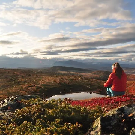 Апартаменты Golsfjellet - Bualie, Milevis Med Sykkelveier, Fiske Og Vannaktivitet, Inn/ut Til Alpinanlegg Og Langrennsloyper. Гуль