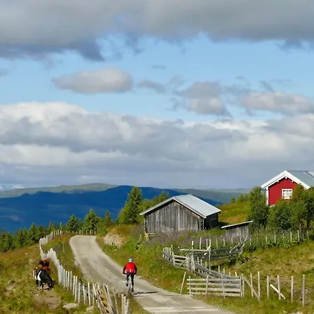 Golsfjellet - Bualie, Milevis Med Sykkelveier, Fiske Og Vannaktivitet, Inn/ut Til Alpinanlegg Og Langrennsloyper. Apartamento *