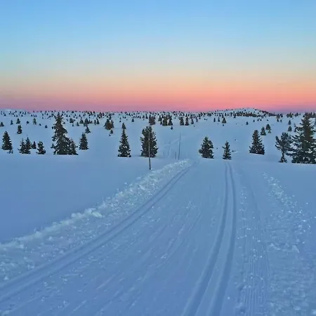 Golsfjellet - Bualie, Milevis Med Sykkelveier, Fiske Og Vannaktivitet, Inn/ut Til Alpinanlegg Og Langrennsloyper.