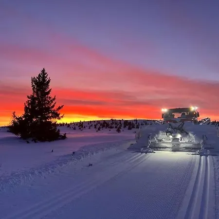Golsfjellet - Bualie, Milevis Med Sykkelveier, Fiske Og Vannaktivitet, Inn/ut Til Alpinanlegg Og Langrennsloyper. *