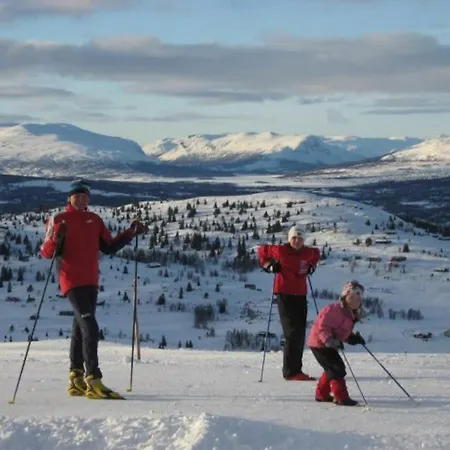 Golsfjellet - Bualie, Milevis Med Sykkelveier, Fiske Og Vannaktivitet, Inn/ut Til Alpinanlegg Og Langrennsloyper.