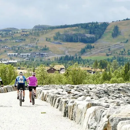 Golsfjellet - Bualie, Milevis Med Sykkelveier, Fiske Og Vannaktivitet, Inn/ut Til Alpinanlegg Og Langrennsloyper. Apartment Gol