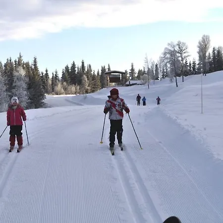 Golsfjellet - Bualie, Milevis Med Sykkelveier, Fiske Og Vannaktivitet, Inn/ut Til Alpinanlegg Og Langrennsloyper. Apartment *