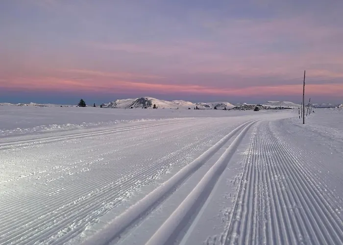 Golsfjellet Bualie: Mountain With Cycling, Fishing, And Ski-in/ski-out Access * Gol