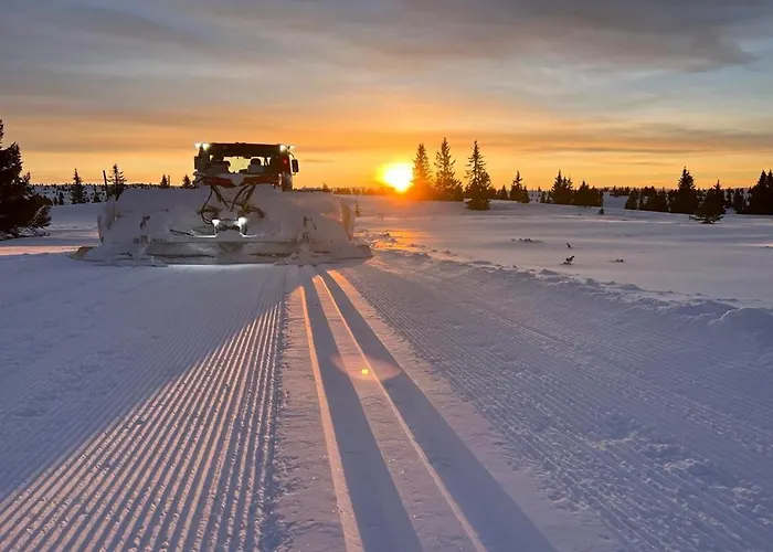 Golsfjellet Bualie: Mountain With Cycling, Fishing, And Ski-in/ski-out Access * Gol