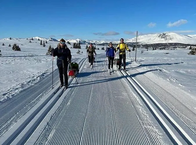 Golsfjellet Bualie: Mountain With Cycling, Fishing, And Ski-in/ski-out Access Apartment *
