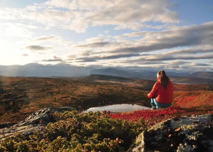 Apartment Golsfjellet Bualie: Mountain With Cycling, Fishing, And Ski-in/ski-out Access Gol