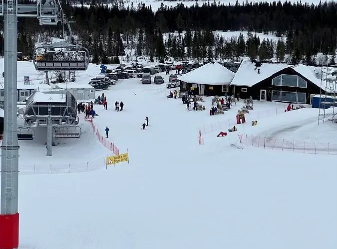 Golsfjellet Bualie: Mountain With Cycling, Fishing, And Ski-in/ski-out Access Gol