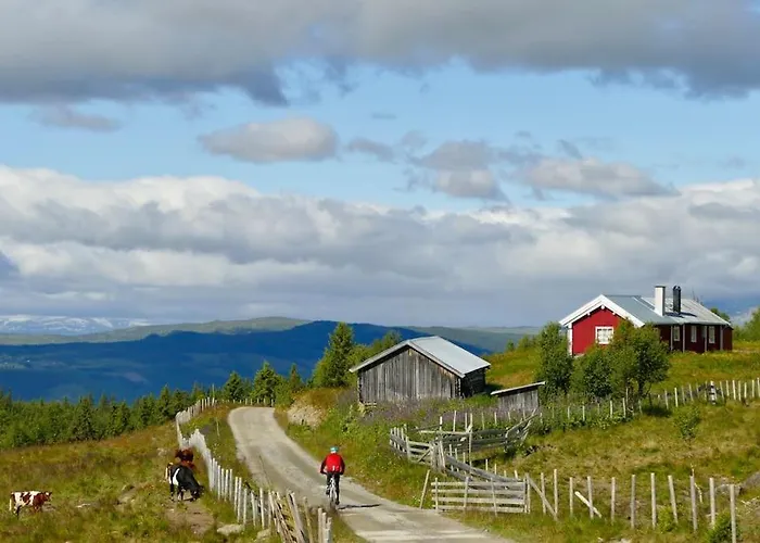 Golsfjellet Bualie: Mountain With Cycling, Fishing, And Ski-in/ski-out Access Apartment *