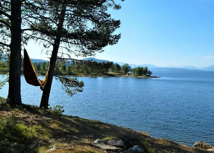 Golsfjellet Bualie: Mountain With Cycling, Fishing, And Ski-in/ski-out Access Gol