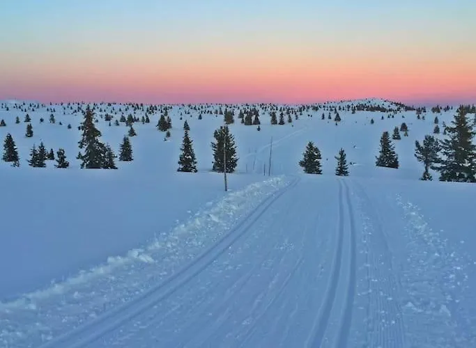 Golsfjellet Bualie: Mountain With Cycling, Fishing, And Ski-in/ski-out Access
