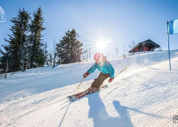 Golsfjellet Bualie: Mountain With Cycling, Fishing, And Ski-in/ski-out Access * Gol