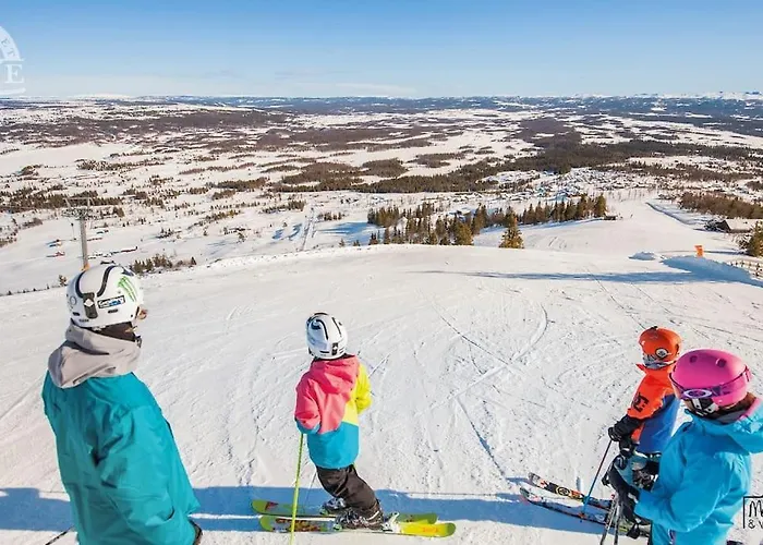 Golsfjellet Bualie: Mountain With Cycling, Fishing, And Ski-in/ski-out Access Apartment Gol