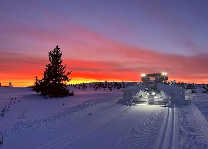 Golsfjellet Bualie: Mountain With Cycling, Fishing, And Ski-in/ski-out Access *
