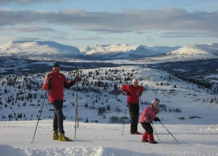 Golsfjellet Bualie: Mountain With Cycling, Fishing, And Ski-in/ski-out Access