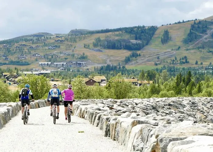Golsfjellet Bualie: Mountain With Cycling, Fishing, And Ski-in/ski-out Access Apartment Gol