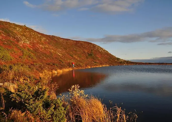 Apartment Golsfjellet Bualie: Mountain With Cycling, Fishing, And Ski-in/ski-out Access *
