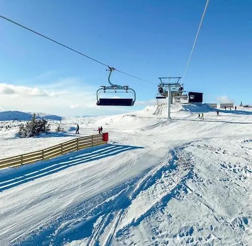 Golsfjellet Bualie: Mountain With Cycling, Fishing, And Ski-in/ski-out Access *