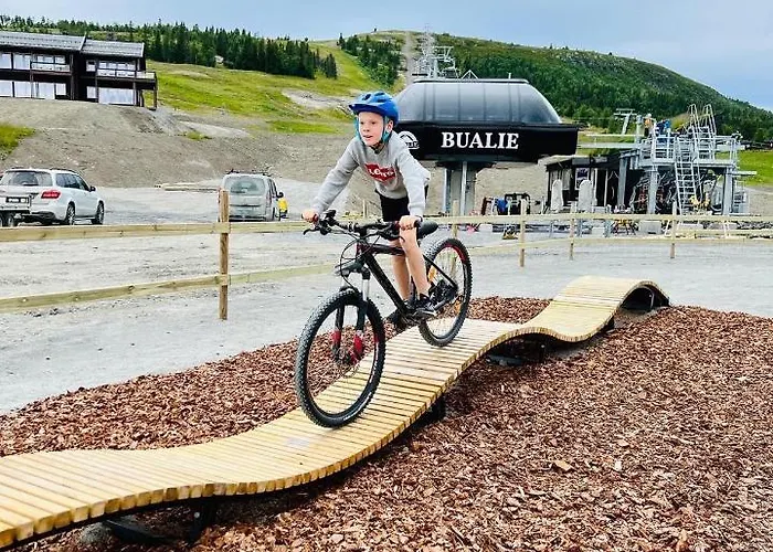 Apartment Golsfjellet Bualie: Mountain With Cycling, Fishing, And Ski-in/ski-out Access *