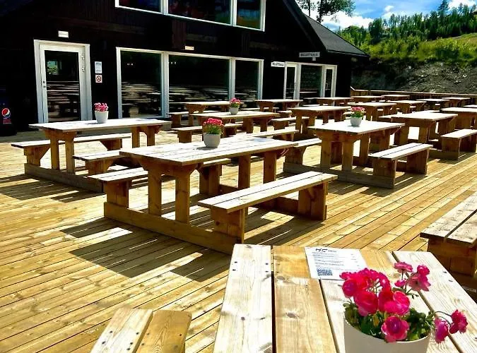 Golsfjellet Bualie: Mountain With Cycling, Fishing, And Ski-in/ski-out Access Gol
