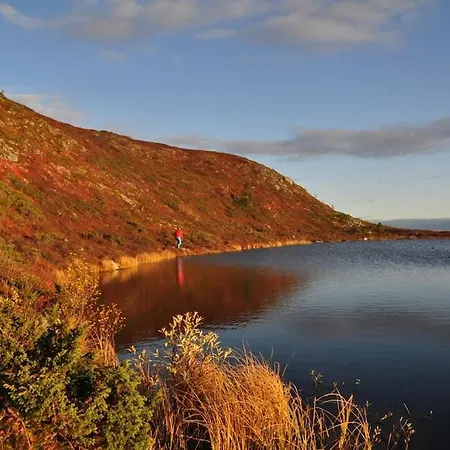 Apartmán Golsfjellet - Bualie, Milevis Med Sykkelveier, Fiske Og Vannaktivitet, Inn/ut Til Alpinanlegg Og Langrennsloyper. *